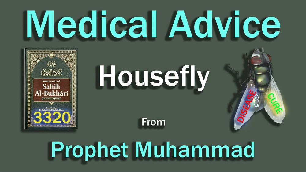 Medical Advice Housefly from Prophet Muhammad /#Short/Sahih Al -Bukhari 3320